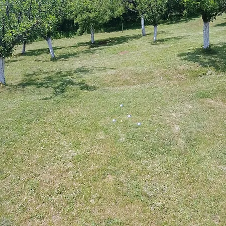 Holiday home Tahiti Serbia